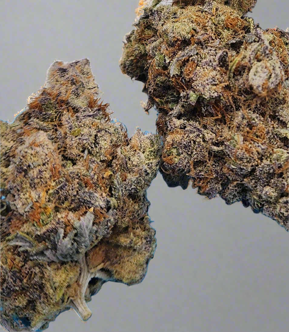 All Gas Og 8/29 soil grown