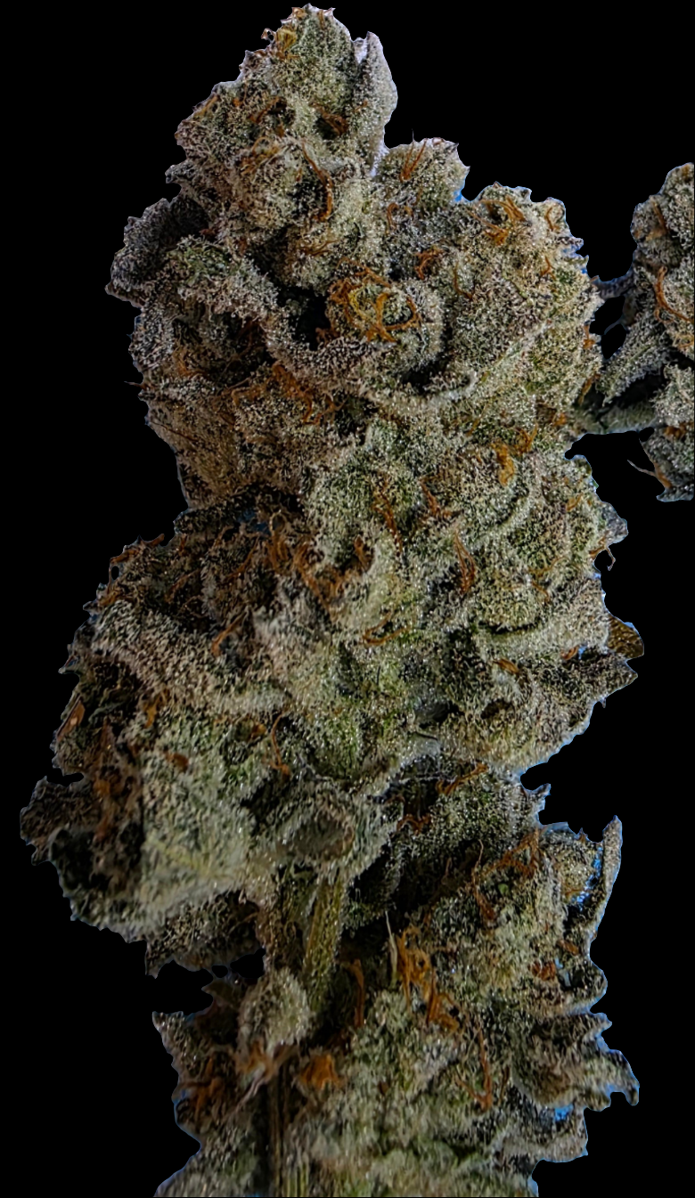 🧙♂️ Odi Wan Kenobi 1/1/2026