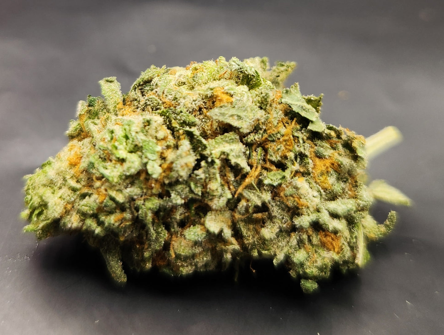 Afgani kush
