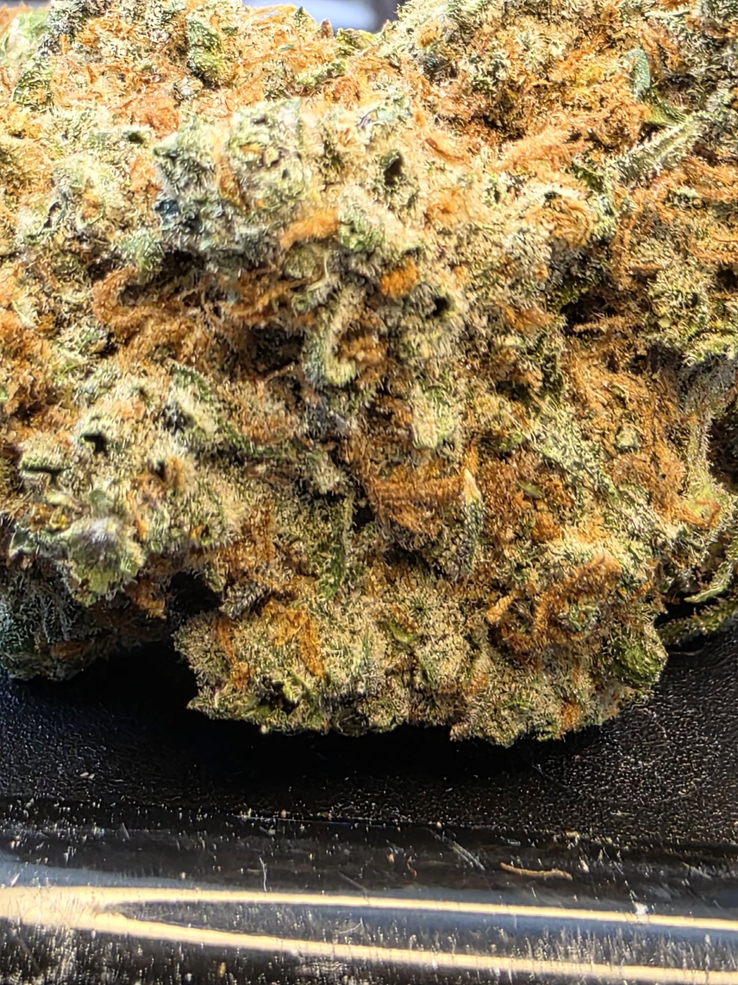 Tropicana Poison 10/17