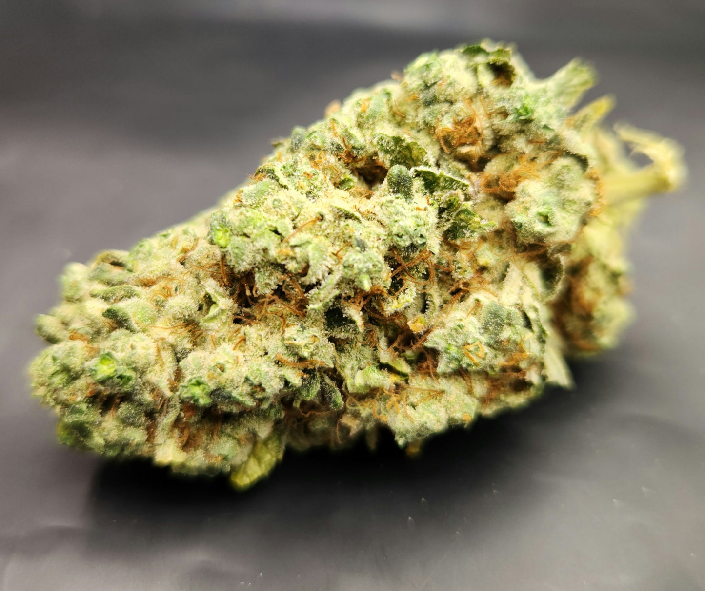 Deuce De-Terp 10/17