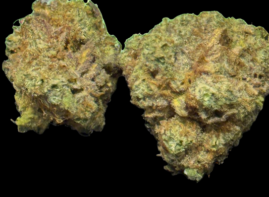 🍋 Lemon Skunk 🍋
 Soil grow! 8/29