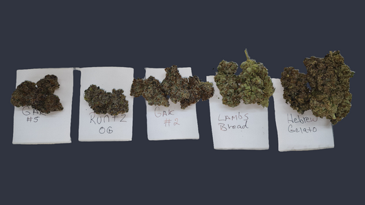 Special! Discover our sample review packs: each includes four 1-gram samples of different strains.—ready to ship!