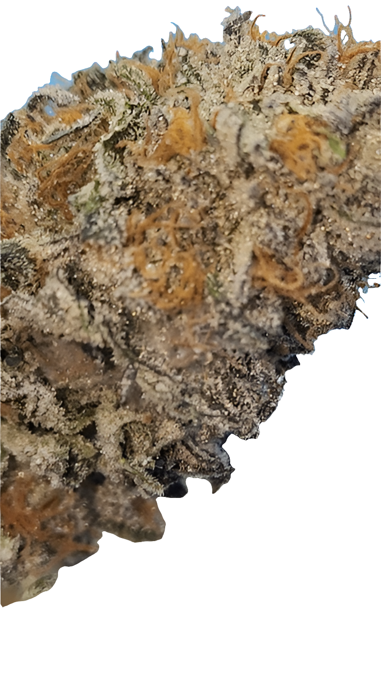 Cotton Candy
