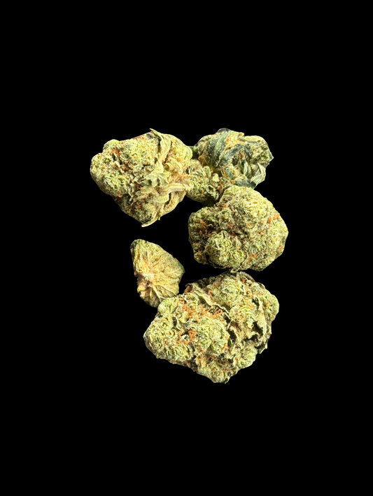Colorado Gas Can type 3