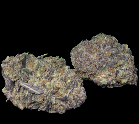 Ice Cream Cake x G-41  7/10