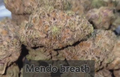 Mendo Breath