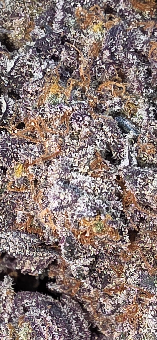 Mendo Breath Exotics large