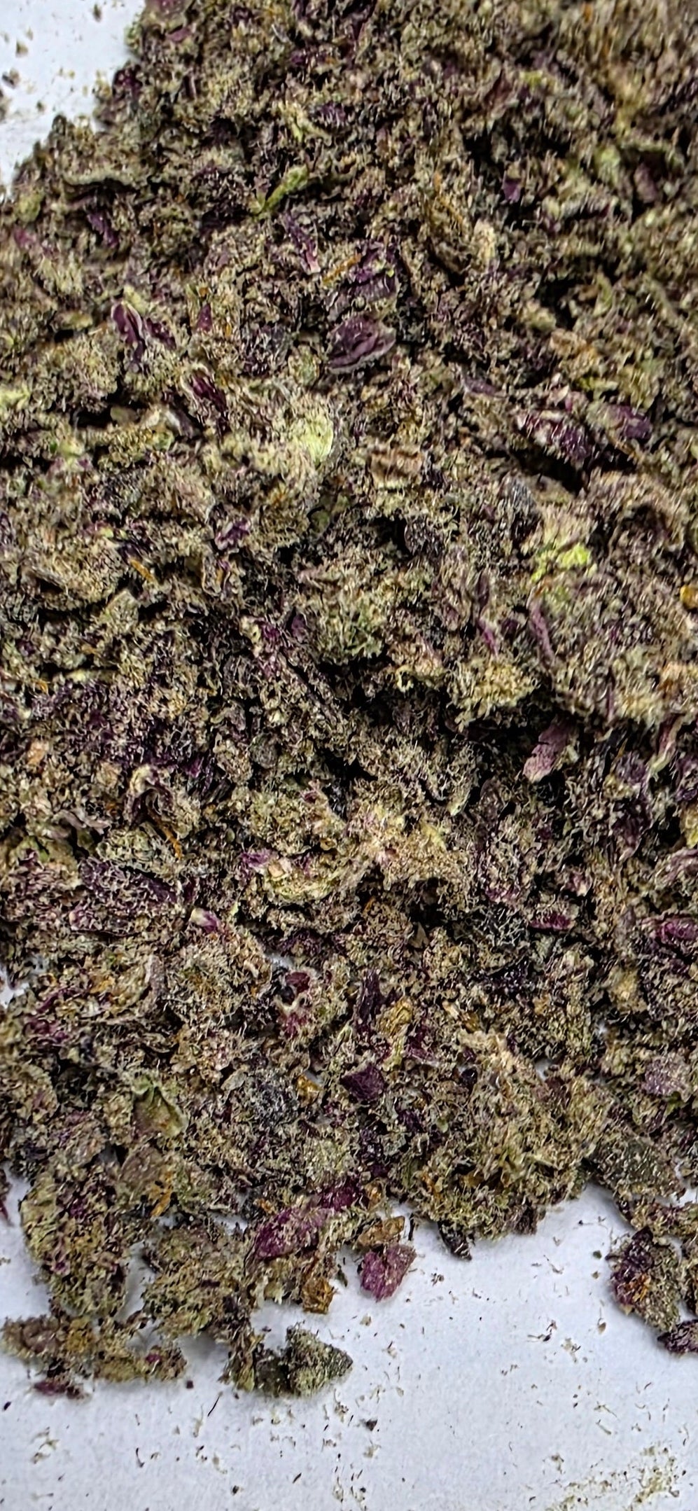 🧙‍♂️ Odi Wan Kenobi 1/1/2026