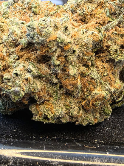 Tropicana Poison 10/17