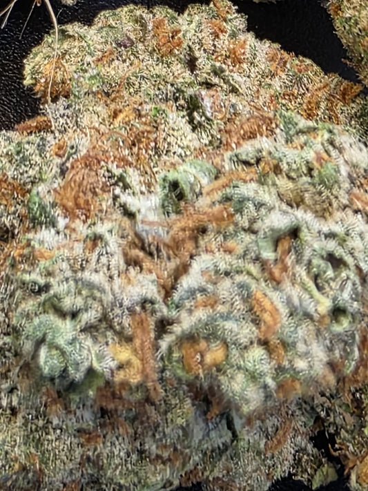 Tropicana Poison 10/17